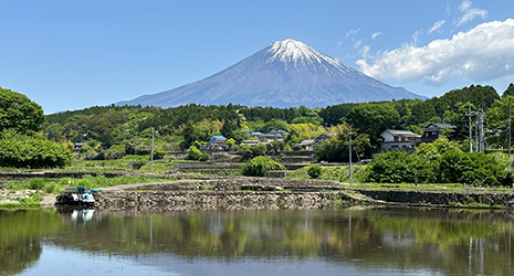 地域社会貢献活動